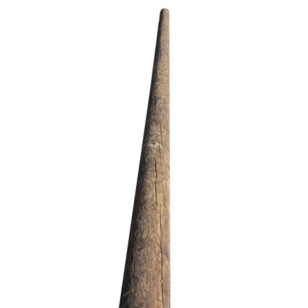 Pole 9m (Light)